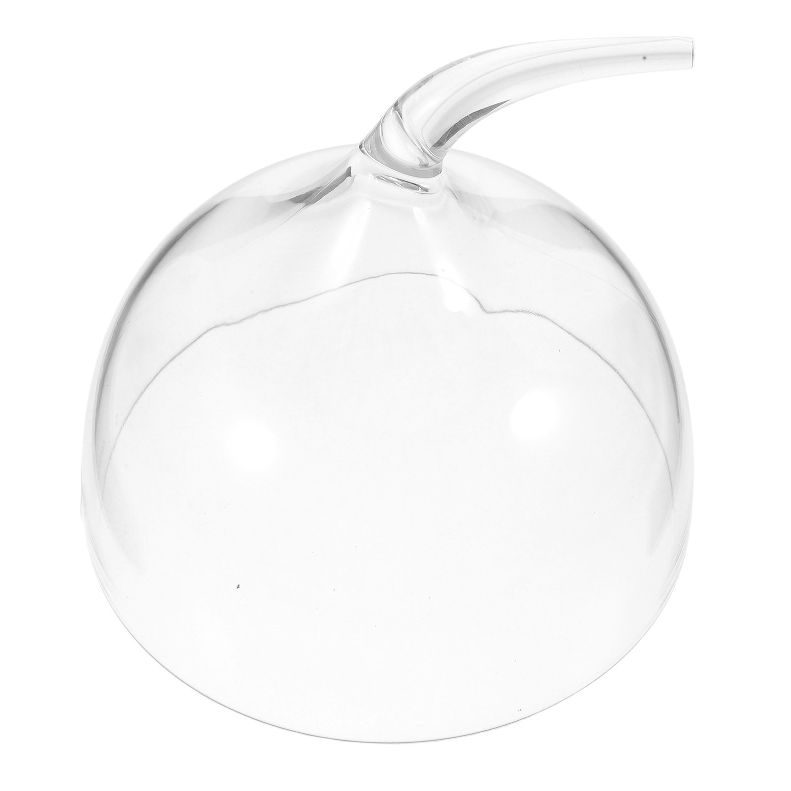 Plastic Dome Clear - Lichtgewicht, transparante taartkoepel van polycarbonaat, voedselbescherming