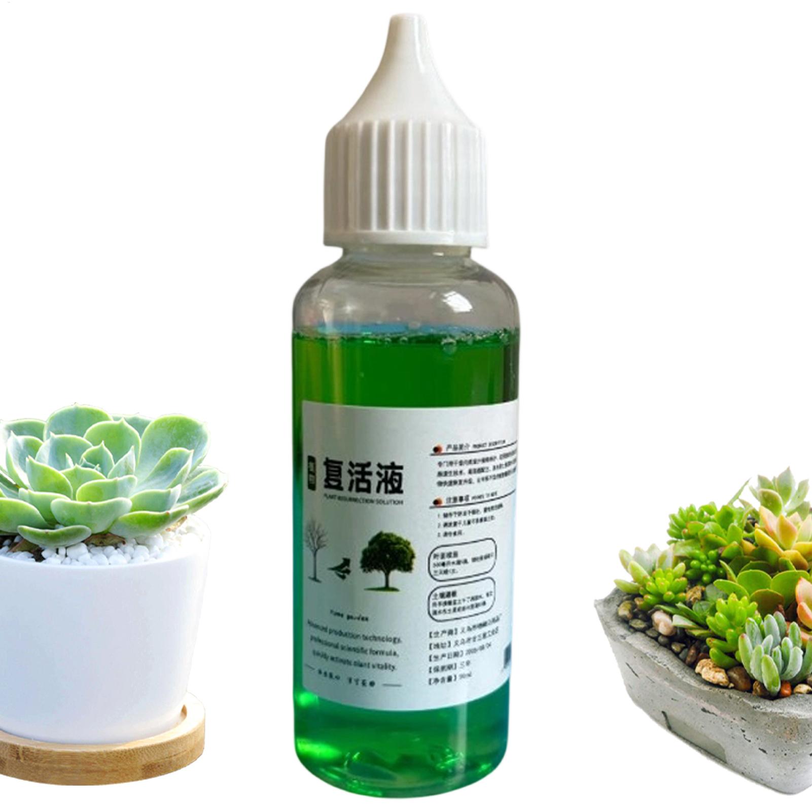 Root Stimulator Liquid - Wortelstimulator voor planten, vloeibaar wortelvormingsmiddel 50ml,