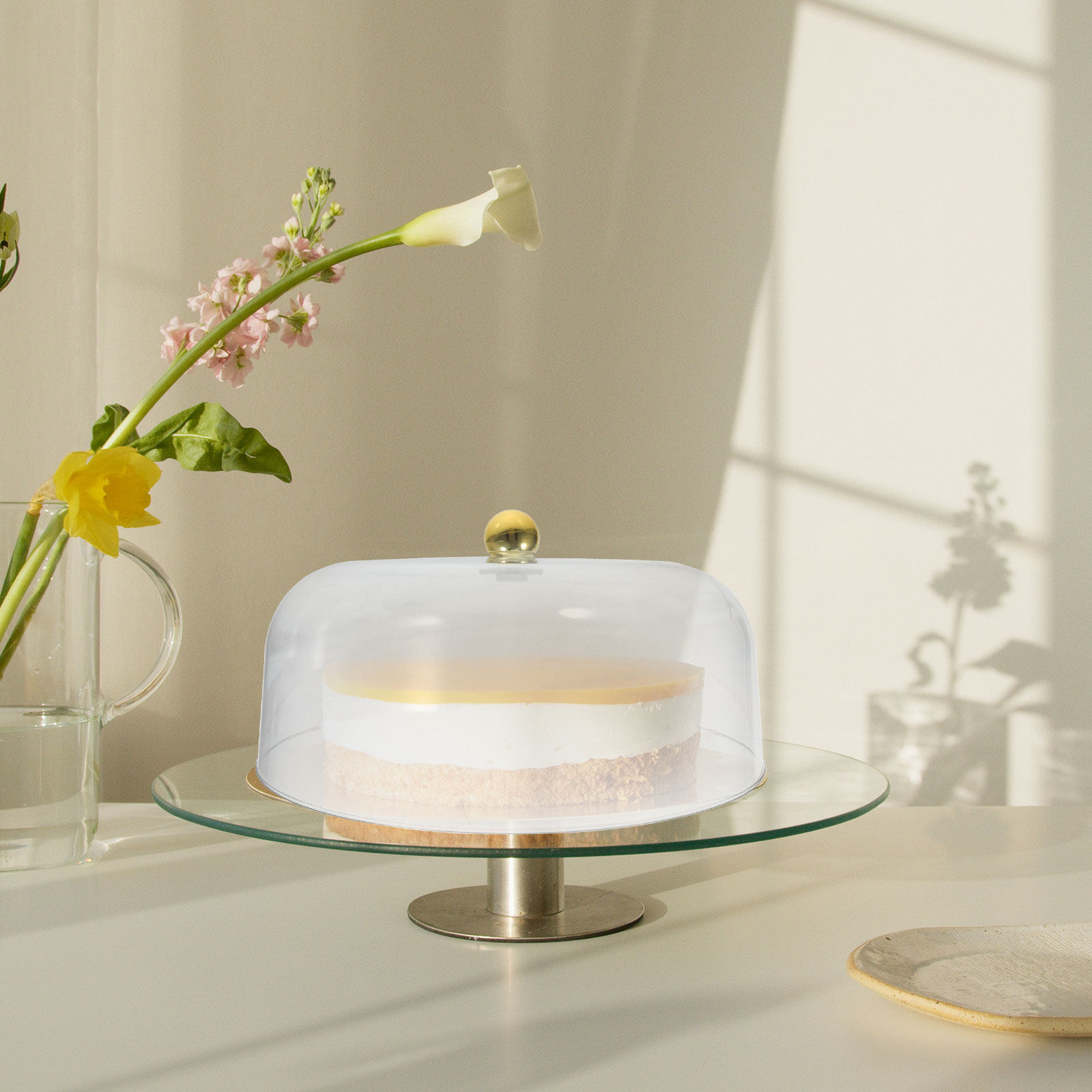 Transparante taartkoepel van p - Plastic Dome Clear recensie en prijs