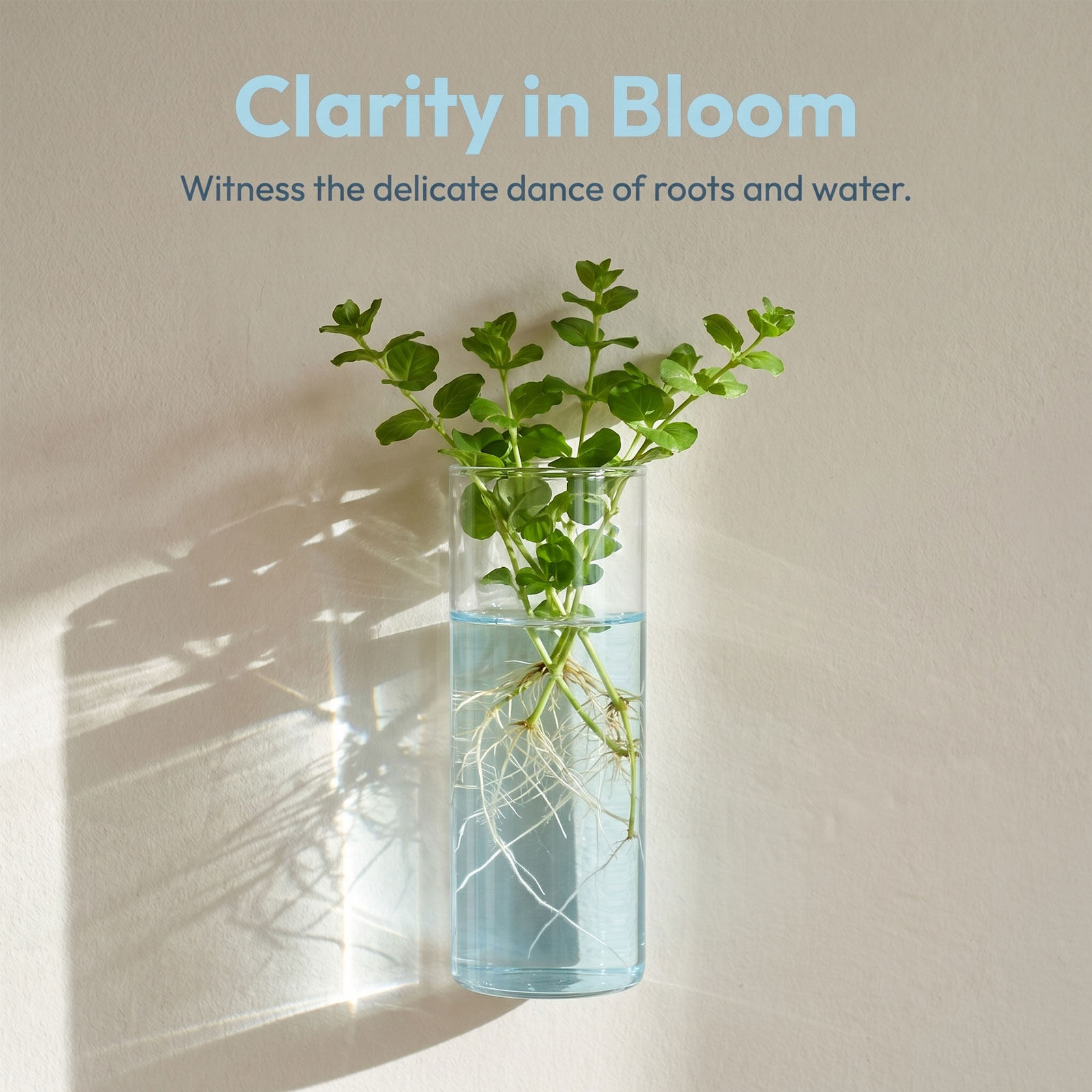 5 stuks wandplantbak cilindris - Propagation Station Vase recensie en prijs